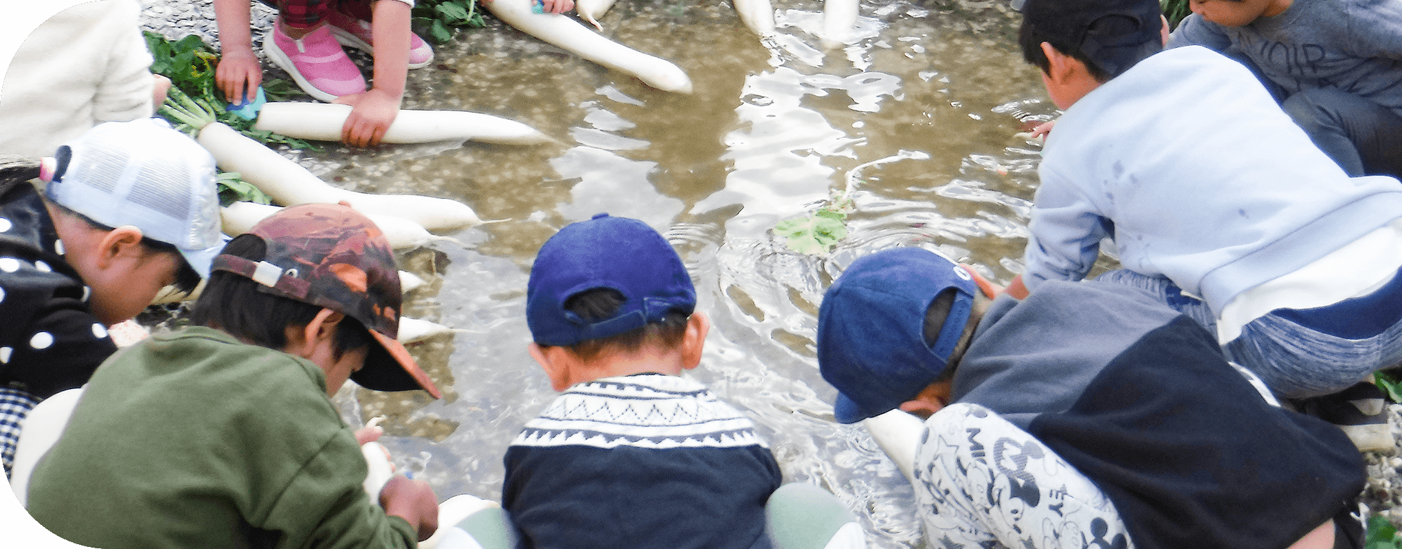 中央ながかみこども園